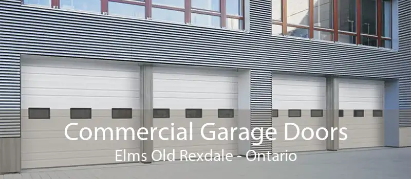 Commercial Garage Doors Elms Old Rexdale - Ontario
