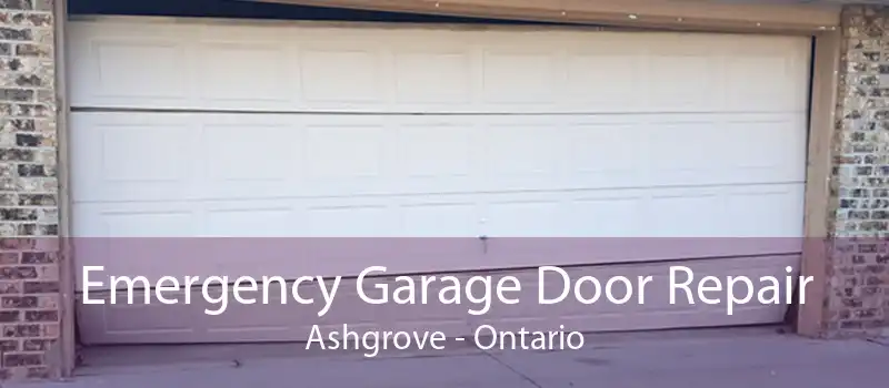 Emergency Garage Door Repair Ashgrove - Ontario
