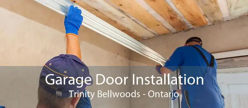 Garage Door Installation Trinity Bellwoods - Ontario