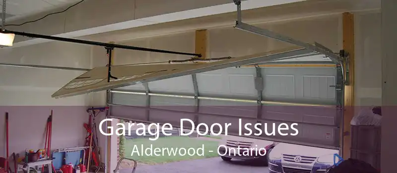 Garage Door Issues Alderwood - Ontario