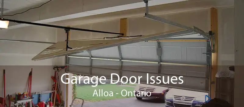 Garage Door Issues Alloa - Ontario
