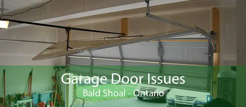 Garage Door Issues Bald Shoal - Ontario