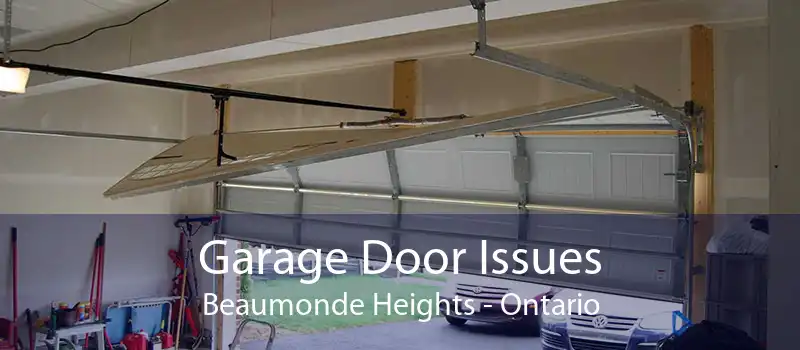 Garage Door Issues Beaumonde Heights - Ontario