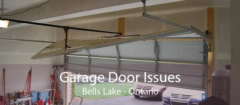 Garage Door Issues Bells Lake - Ontario