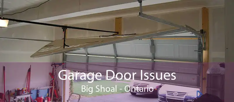 Garage Door Issues Big Shoal - Ontario