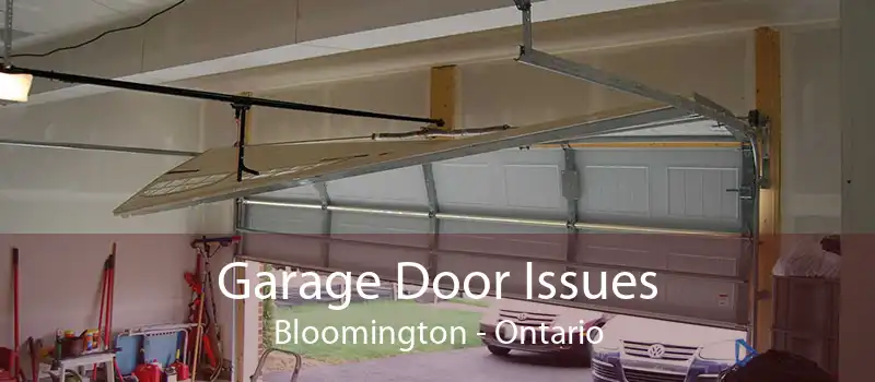 Garage Door Issues Bloomington - Ontario