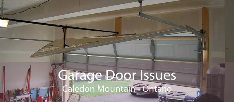 Garage Door Issues Caledon Mountain - Ontario