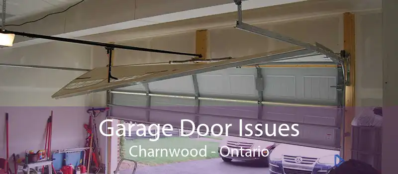 Garage Door Issues Charnwood - Ontario