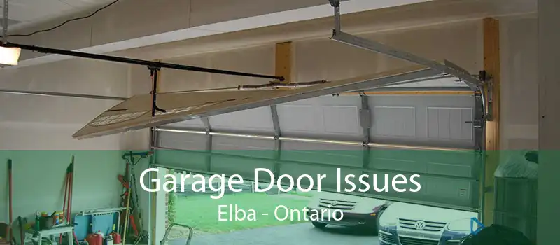 Garage Door Issues Elba - Ontario