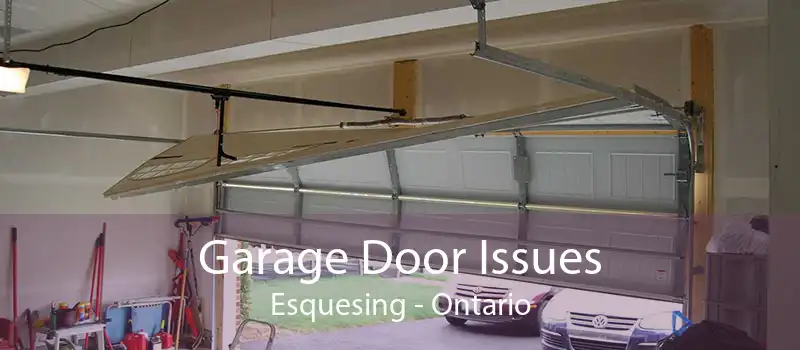 Garage Door Issues Esquesing - Ontario