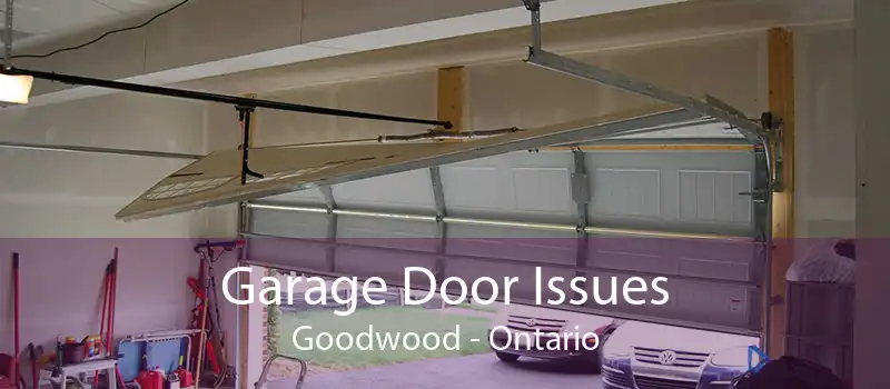 Garage Door Issues Goodwood - Ontario