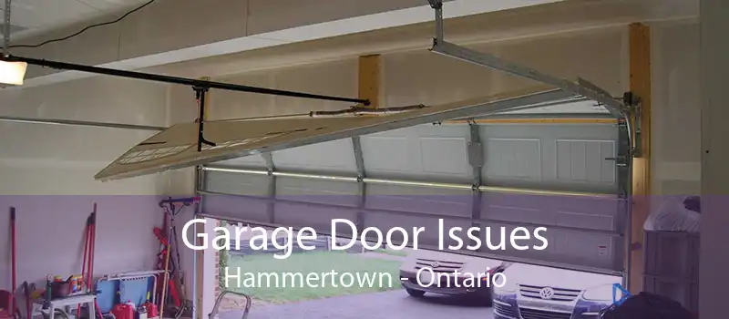 Garage Door Issues Hammertown - Ontario