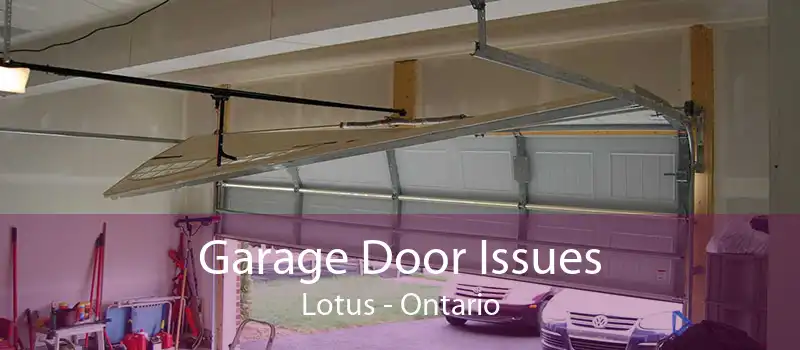 Garage Door Issues Lotus - Ontario