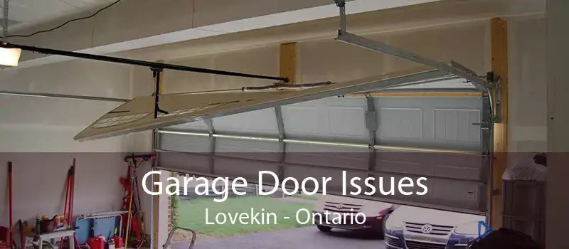 Garage Door Issues Lovekin - Ontario