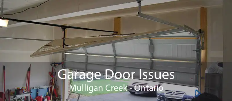 Garage Door Issues Mulligan Creek - Ontario