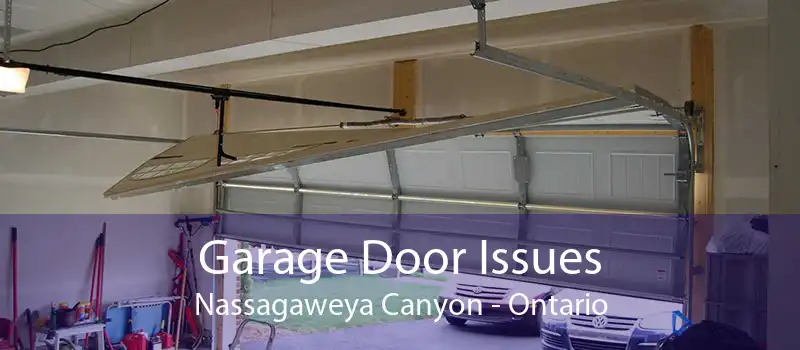 Garage Door Issues Nassagaweya Canyon - Ontario