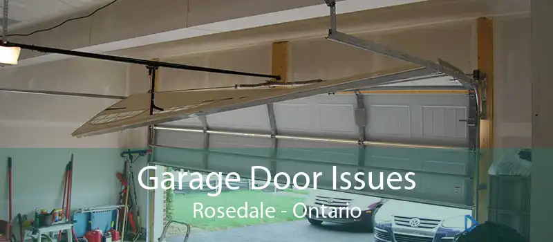 Garage Door Issues Rosedale - Ontario