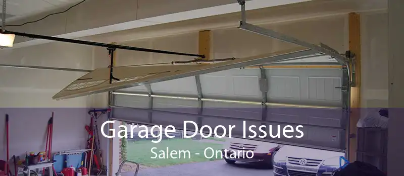 Garage Door Issues Salem - Ontario