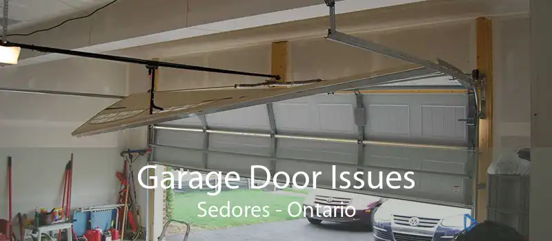 Garage Door Issues Sedores - Ontario