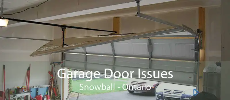 Garage Door Issues Snowball - Ontario