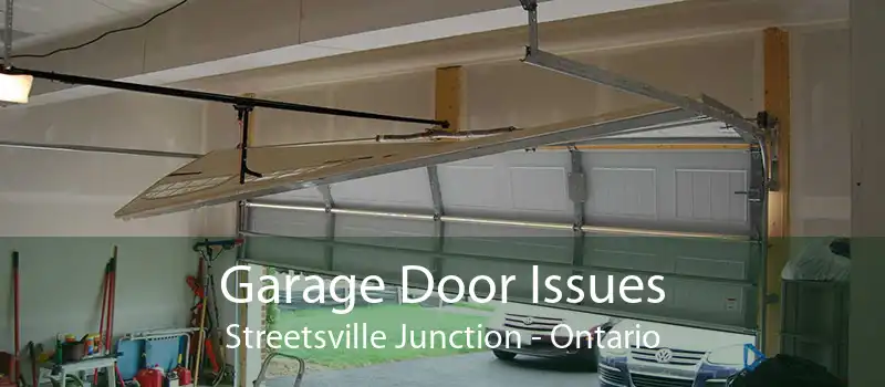 Garage Door Issues Streetsville Junction - Ontario