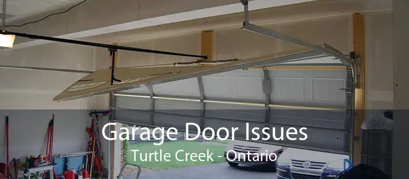 Garage Door Issues Turtle Creek - Ontario