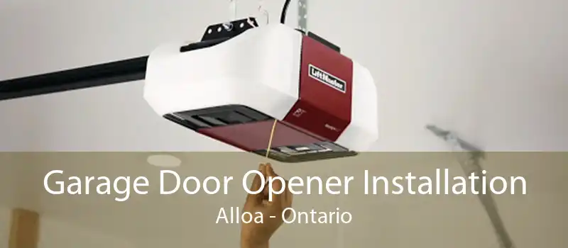 Garage Door Opener Installation Alloa - Ontario