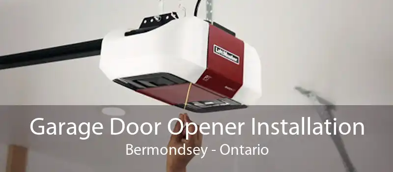 Garage Door Opener Installation Bermondsey - Ontario