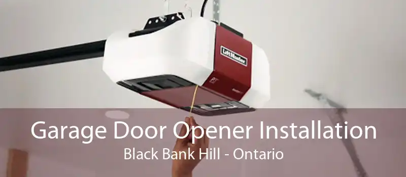 Garage Door Opener Installation Black Bank Hill - Ontario