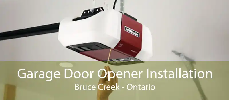 Garage Door Opener Installation Bruce Creek - Ontario