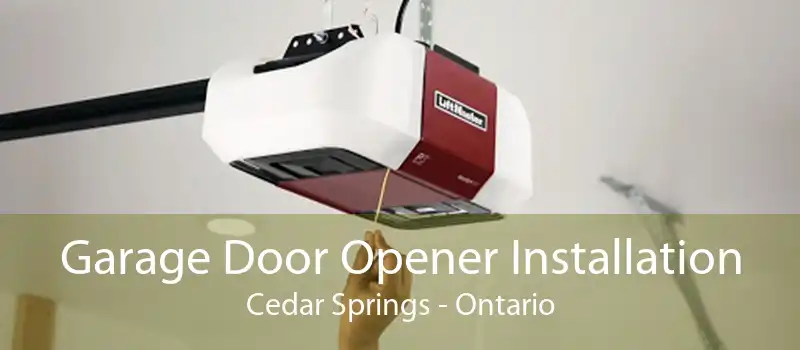 Garage Door Opener Installation Cedar Springs - Ontario