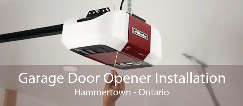Garage Door Opener Installation Hammertown - Ontario