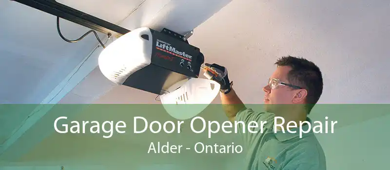 Garage Door Opener Repair Alder - Ontario