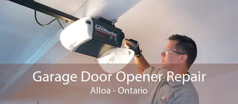 Garage Door Opener Repair Alloa - Ontario
