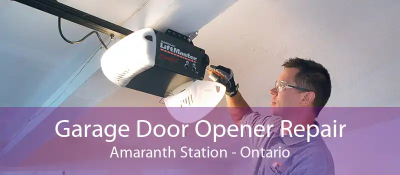 Garage Door Opener Repair Amaranth Station - Ontario
