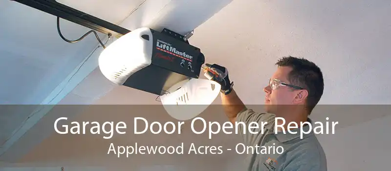 Garage Door Opener Repair Applewood Acres - Ontario