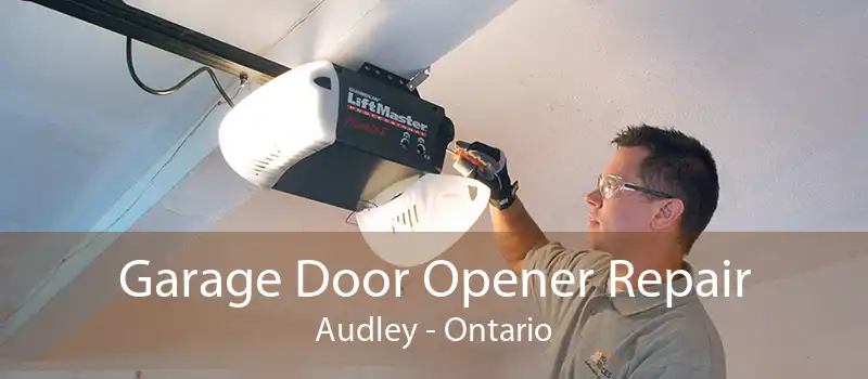 Garage Door Opener Repair Audley - Ontario