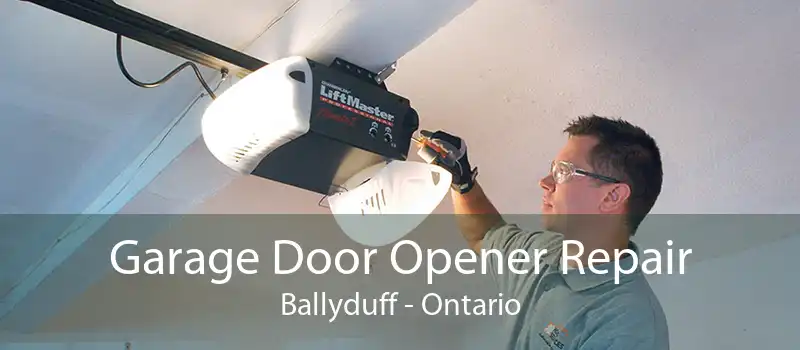 Garage Door Opener Repair Ballyduff - Ontario