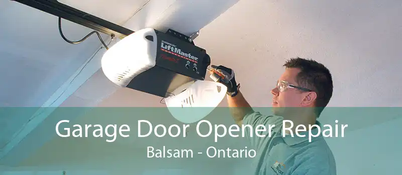 Garage Door Opener Repair Balsam - Ontario