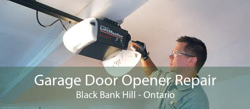Garage Door Opener Repair Black Bank Hill - Ontario