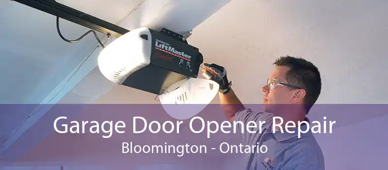 Garage Door Opener Repair Bloomington - Ontario
