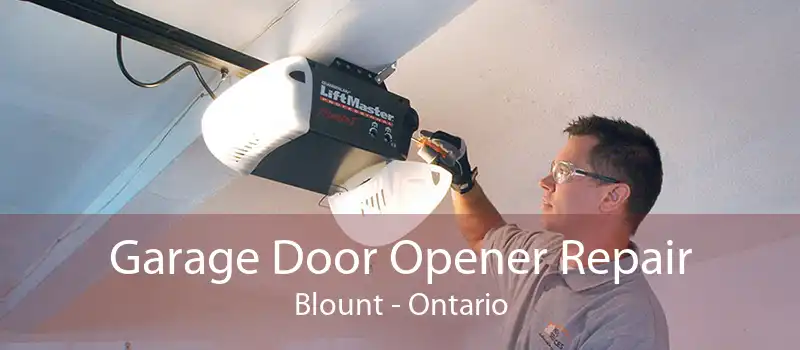 Garage Door Opener Repair Blount - Ontario