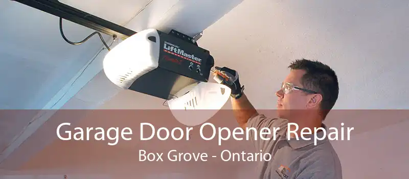Garage Door Opener Repair Box Grove - Ontario