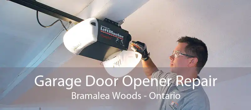 Garage Door Opener Repair Bramalea Woods - Ontario