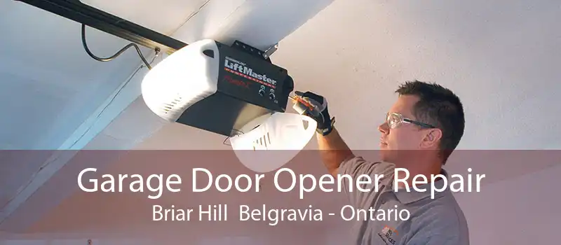 Garage Door Opener Repair Briar Hill  Belgravia - Ontario