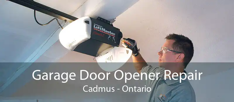 Garage Door Opener Repair Cadmus - Ontario
