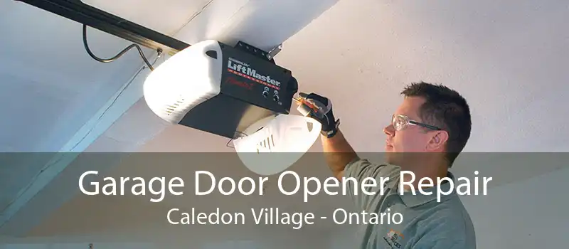 Garage Door Opener Repair Caledon Village - Ontario