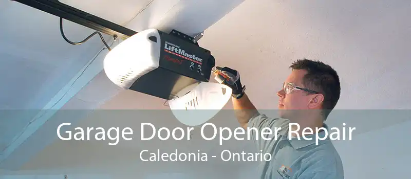 Garage Door Opener Repair Caledonia - Ontario