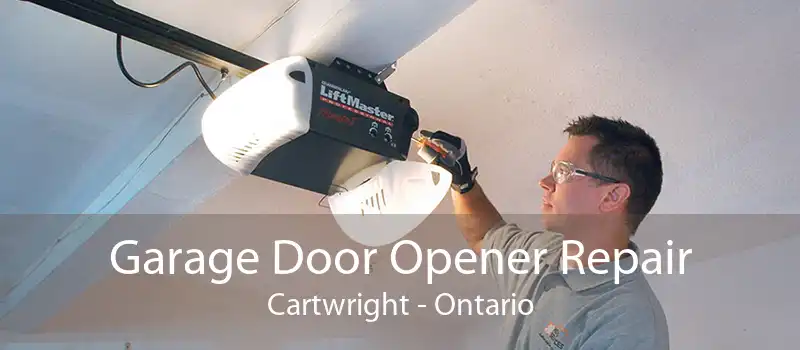 Garage Door Opener Repair Cartwright - Ontario
