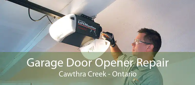 Garage Door Opener Repair Cawthra Creek - Ontario